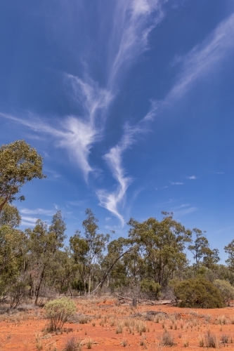 Red dirt, blue sky & white wispy clouds in Outback NSW bush scene - Australian Stock Image