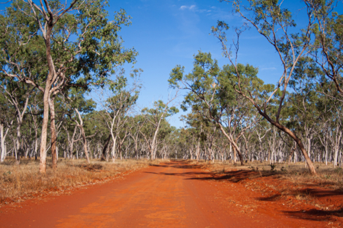 Red dirt road - Australian Stock Image