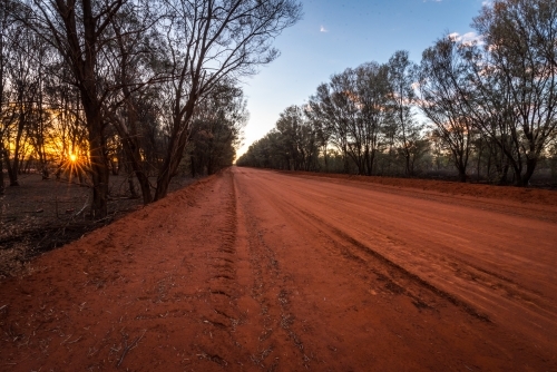 Red dirt road lined with trees in Australian outback