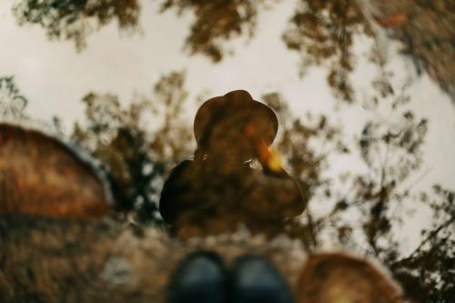 Reflection in puddle - Australian Stock Image