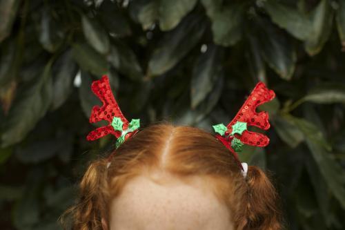 Reindeer antler hair clips - Australian Stock Image