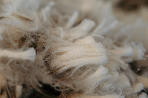 Remnants of sheared wool in a shearing shed. - Australian Stock Image