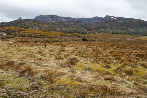 Remote mountain plains,  Cradle Mountain - Australian Stock Image