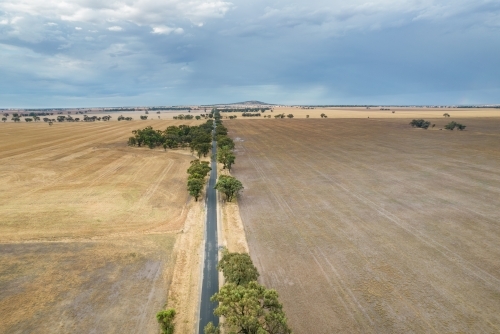 Remote road lined with trees leading into the distance in a rural farming area. - Australian Stock Image