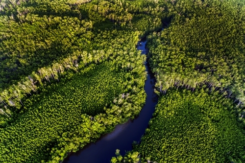 Remote wilderness northern Australia, watercourse and forest - Australian Stock Image