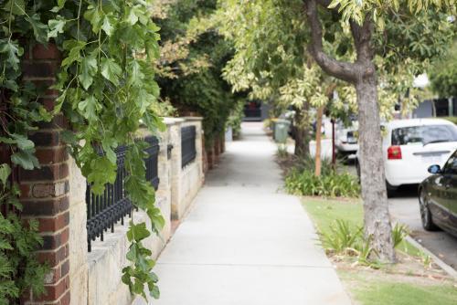 Residential street with trees and fence line - Australian Stock Image