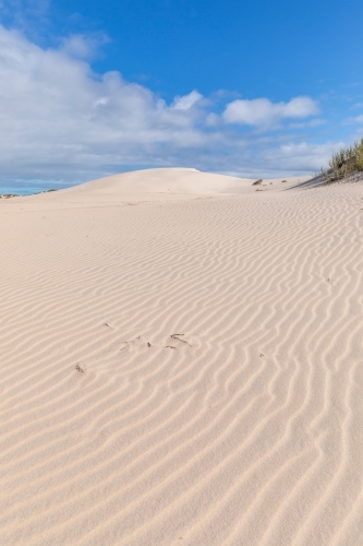 rippled white sand dune under blue sky with fluffy white clouds - Australian Stock Image