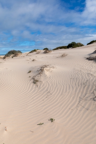 ripples in white sand dunes - Australian Stock Image