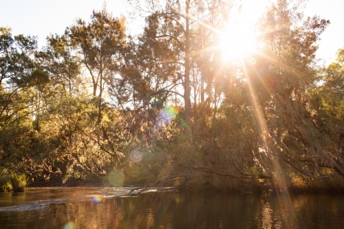 River landscape in afternoon light - Australian Stock Image