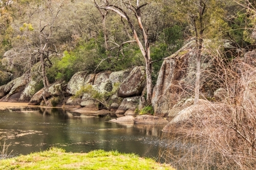 River water through forest trees - Australian Stock Image