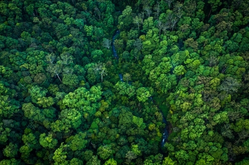 River winding through tropical rainforest - Australian Stock Image