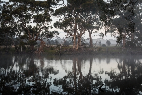 River with reflection of gum trees - Australian Stock Image
