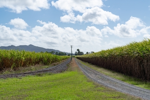 Road and rail intersection in cane fields - Australian Stock Image