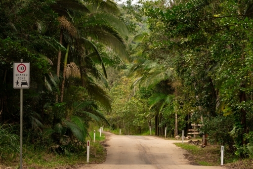 Road through a tropical rainforest. - Australian Stock Image
