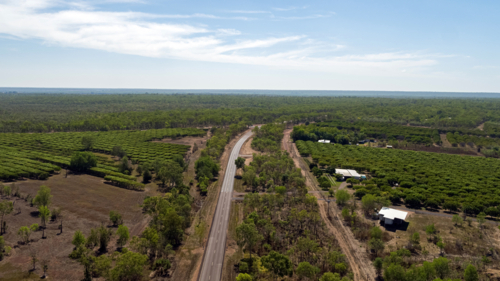 road through Mango farming farm - Australian Stock Image