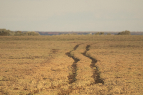 Road to nowhere - Australian Stock Image