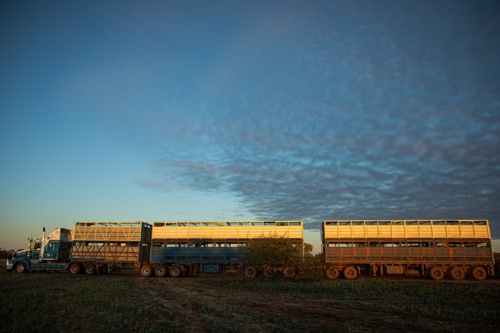 Road train side on in morning light under big sky - Australian Stock Image