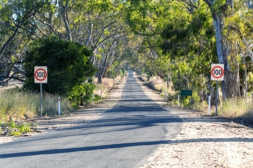 Road trip concept. Summer country road with trees on side, in Victoria, Australia. - Australian Stock Image