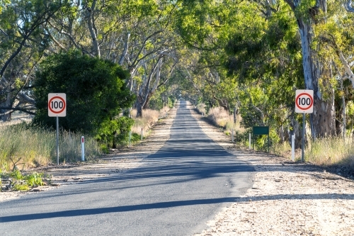 Road trip concept. Summer country road with trees on side, in Victoria, Australia.