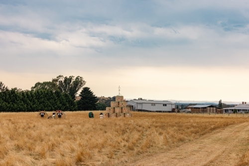 Roadside Christmas decorations made of hay bales in country Victoria - Australian Stock Image