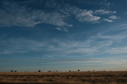 Roadside view of Outback Queensland - Australian Stock Image