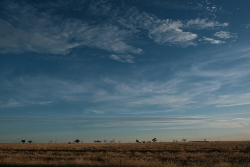 Roadside view of Outback Queensland