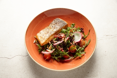 Roast salmon fillet and salad in bowl