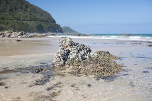 Rock formation in water at the beach