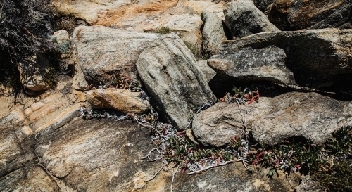 Rock Formations - Australian Stock Image