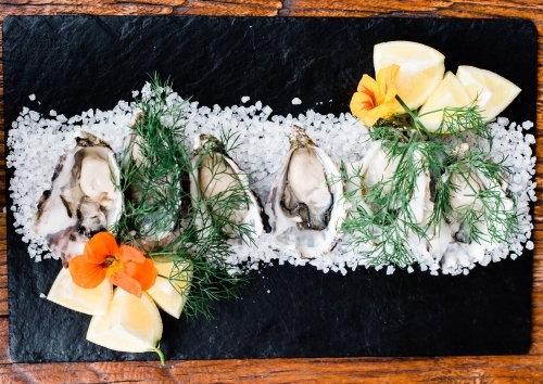 Rock oysters displayed on bed of salt