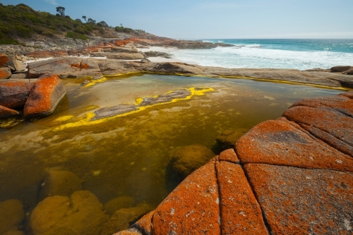 Rock pool - Bay of Fires - Tasmania - Australian Stock Image