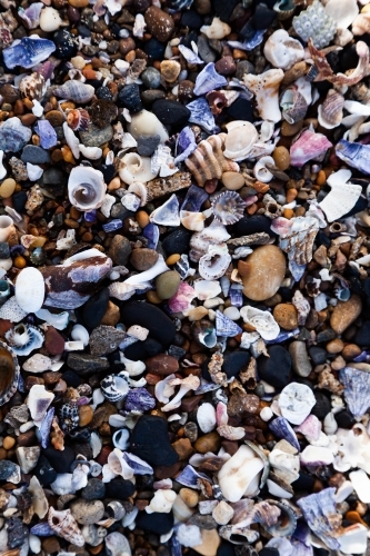 Rocks and shell texture top down washed up at beach - Australian Stock Image