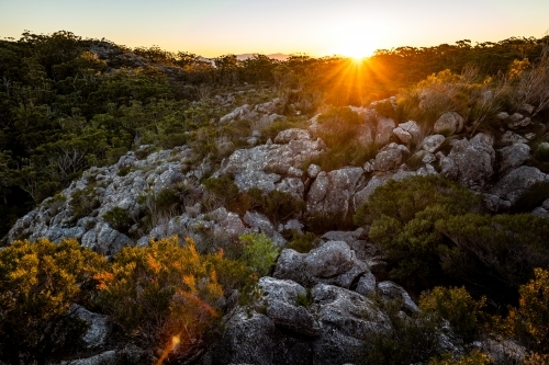 Rocky bushland and sunrise