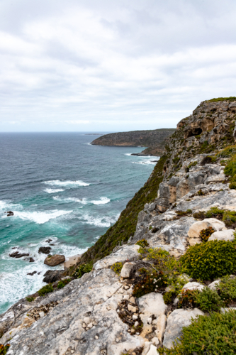 Rocky Cliffs and Crashing Waves at Kangaroo Island - Australian Stock Image