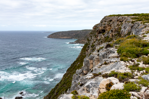 Rocky Cliffs and Turquoise Ocean at Kangaroo Island - Australian Stock Image