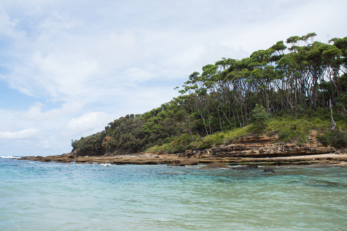 Rocky coastline and ocean with gums and coastal bush - Australian Stock Image