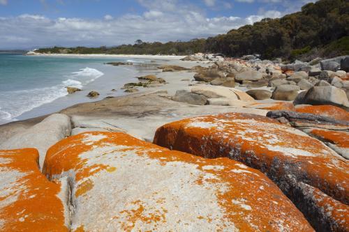 Rocky Coastline - Australian Stock Image