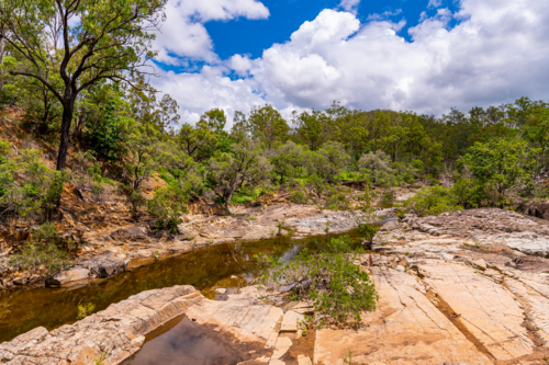 Rocky creek bed flowing through dense green bushland - Australian Stock Image