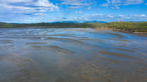 Rodds Bay at low tide near Turkey Beach - Australian Stock Image
