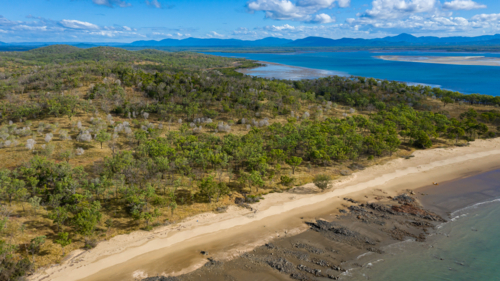 Rodds Bay at low tide near Turkey Beach - Australian Stock Image