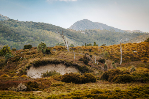 Rolling hills covered in golden grass with mountain top in the background - Australian Stock Image