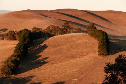 Rolling Hills in Lurg - Australian Stock Image