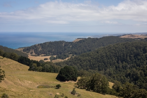 Rolling hills with ocean in the background
