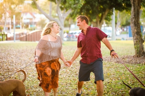 Romantic couple walking dogs in the park in golden afternoon light - Australian Stock Image