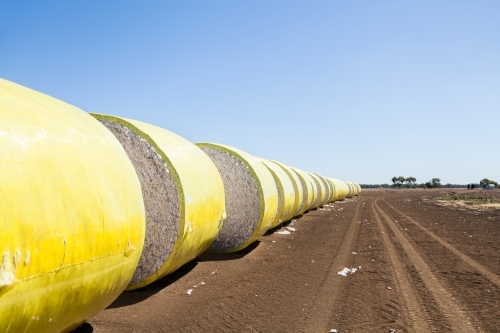Round bales of baled cotton ready to leave farm - Australian Stock Image