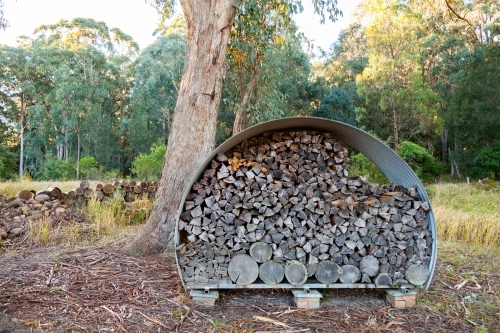 Round tree branches cut and stacked for drying for firewood