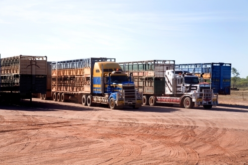 Row of large trucks parked on red dirt - Australian Stock Image