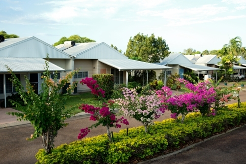 Row of neat weatherboard homes with garden bed in middle of road - Australian Stock Image