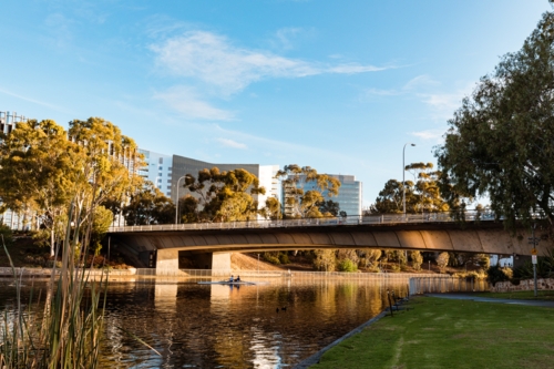 Rowers underneath the Montefiore Road Bridge crossing the River Torrens in the Adelaide CBD - Australian Stock Image