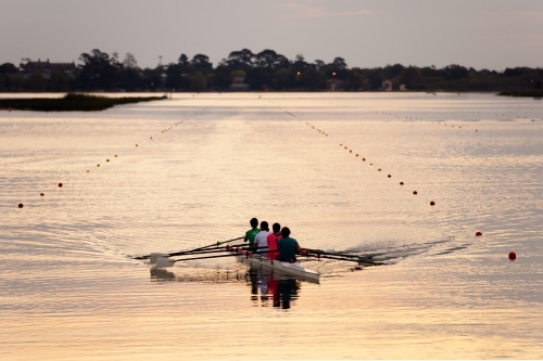 Rowing training on a lake in the evening - Australian Stock Image